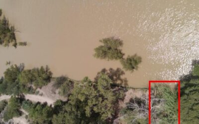 Mapeo del carrizo mediante vehículos aéreos no tripulados para su control
