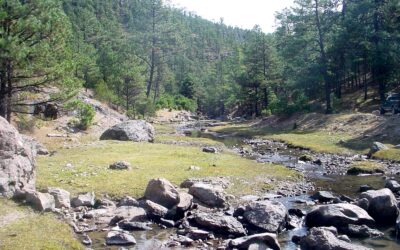 Cuidado, conservación y restauración de la Cuenca Alta del Nazas